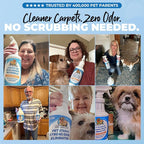 FurryFreshness Extra Strength Cat or Dog Pee Stain & Permanent Odor Remover + Smell Eliminator -Removes Stains from Pets & Kids Including Urine or Blood- Lifts Old Carpet Stains- (Gallon)