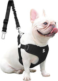Dog Seat Belt for Car,Dog Car Safety Harness,2 in 1 Seatbelt Tether with Elastic Bungee,Travel Safety Harnesses for Small Medium Large Pets (Black Large