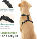 Dog Seat Belt, Safety Vest Dog Car Harness with Adjustable Buckle Dog Seat-Belt for Vehicle Nylon Pet Safety Seats Belts Heavy Duty(XL, Blue)