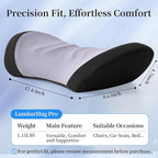 Lumbar Support Pillow for Office Chair - Lumbar Pillow for Car, Memory Foam Ergonomic Lumbar Support Pillow for Car Back Support for Office Chair Back Support Cushion