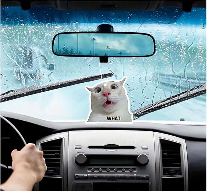 Rawan 4 Pack Cat Air Freshener - Funny Cat Decor for Women, Men & Kids - Hanging Fresheners for Car & Home