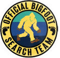 Search Team Air Freshener Car Scent By Scent South