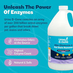 Urine B-Gone, Professional Enzyme Odor Eliminator & Pet Stain Remover, Human, Cat & Dog Urine Cleaner, Effective on Laundry, Carpets & More, Lavender Scent, 1 Gallon