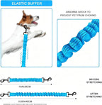 Dog Seat Belt for Bike Basket, Retractable Bicycle Dog Seatbelt, Elastic Pet Safety Leash Harness for Cat, Dog Leash Extension Attachment Shock Absorbing Lead Extension Absorber (Blue)