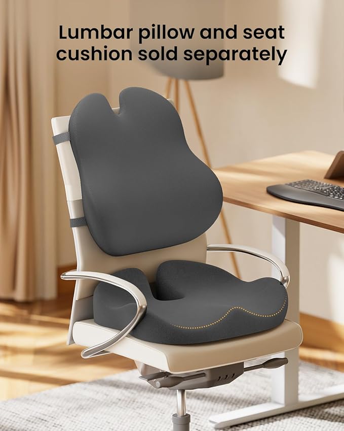 ProtoArc Lumbar Support Pillow for Office Chair, Memory Foam Back Support Pillow for Lower Back Fatigue Relief, Lumbar Pillow Desk Chair Back Cushion, Ergonomic Back Rest for Chair - Dark Gray