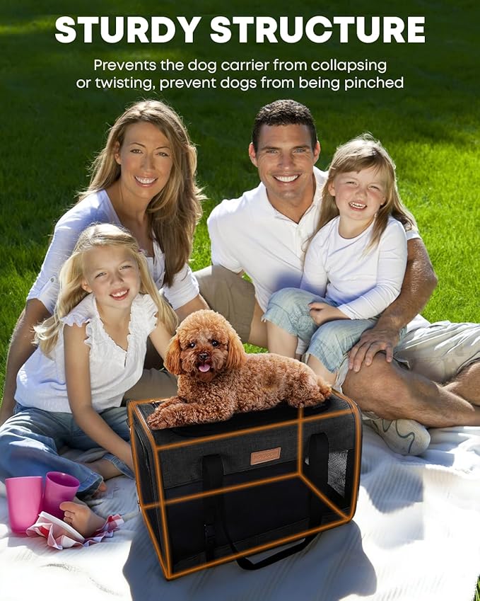 Large Cat Dog Carrier for Pet Up to 20 Lb - 20×13×13 in, Top & Side Entry, Foldable, Soft-Sided Pet Carrier with Ventilated Anti-Scratch Mesh & Car Seat Buckle for Car, Travel and Vet – Black