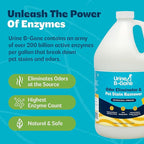 Urine B-Gone, Professional Enzyme Odor Eliminator & Pet Stain Remover, Human, Cat & Dog Urine Cleaner, Effective on Laundry, Carpets & More, Original Scent, 1 Gallon