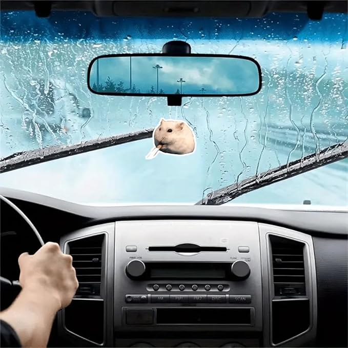 Rawan 4 Pack Car Air Freshener Squirrel, Cute for Women, Girls And Men, Funny Decor Hanging Fresheners
