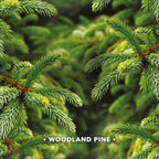 Febreze Car Vent Clip Air Freshener - Fresh-Cut Pine - Holiday Collection 2017 - Net Wt. 0.06 FL OZ (2 mL) Per Vent Clip - Pack of 2 Vent Clips