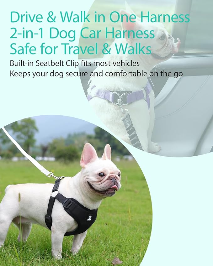 Dog Seat Belt for Car,Dog Car Safety Harness,2 in 1 Seatbelt Tether with Elastic Bungee,Travel Safety Harnesses for Small Medium Large Pets (Purple Medium)