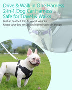 Dog Seat Belt for Car,Dog Car Safety Harness,2 in 1 Seatbelt Tether with Elastic Bungee,Travel Safety Harnesses for Small Medium Large Pets (Pink Medium)