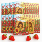 15 Pcs LA Chica Fresita CAR AIR FRESHENER Aromatizante de Mexico placa Fresa de papel