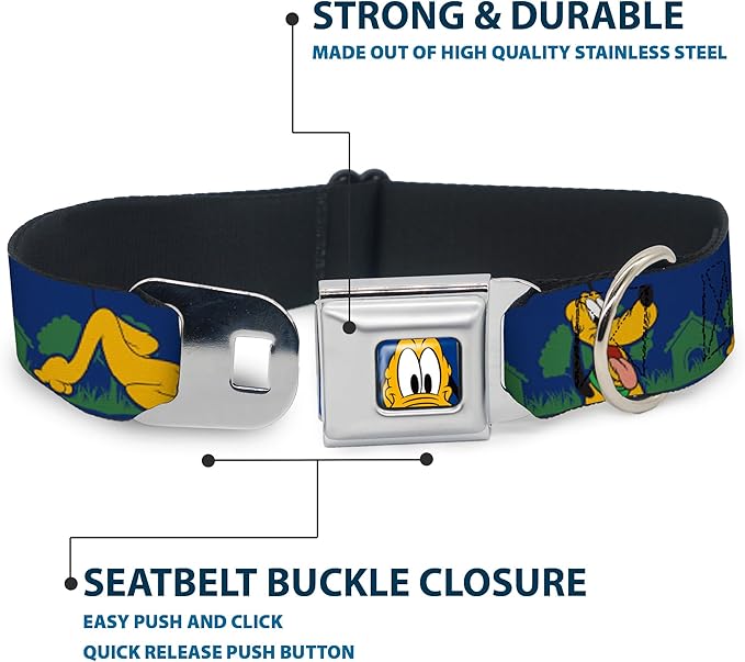 Buckle-Down Dog Collar Seatbelt Buckle Pluto 4 Poses Landscape Blue Green 15 to 26 Inches 1.0 Inch Wide, Multicolor, DC-WDY374-L