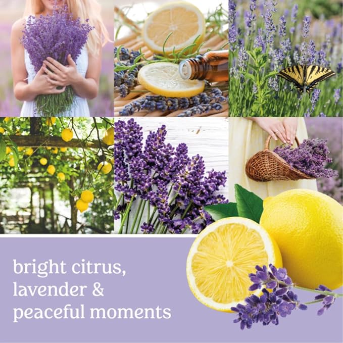 Yankee Candle Car Air Fresheners, Hanging Car Jar Ultimate, Neutralizes Odors Up To 30 Days, Lemon Lavender, 0.96 OZ (Pack of 12)
