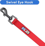 Pawtitas Red Seat Belt Pet Carrier