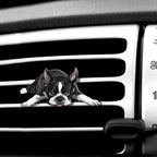 WIRESTER Fresh Scented Car Air Freshener Vent Clip, Decorative Accessories, Interior Decoration for Cars