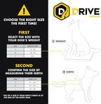 EzyDog Drive Dog Car Harness – Crash Tested and Certified (US-FMVSS 213) Dog Seat Belt Harness for Safe Travel, Adjustable with Padded Comfort (Large)