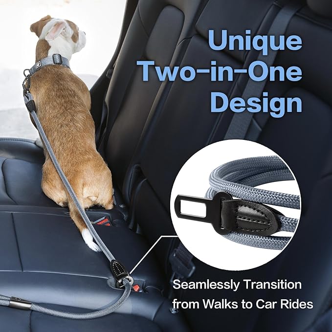 PawsPassion Rope Dog Leash 6 FT, 2-in-1 Heavy Duty Dog Leash with Seat Belt Buckle, Tangle Free 360ｰ Swivel Aviation Aluminum Carabiner, All Metal Hardware, Alloy O-Ring (Horizon)