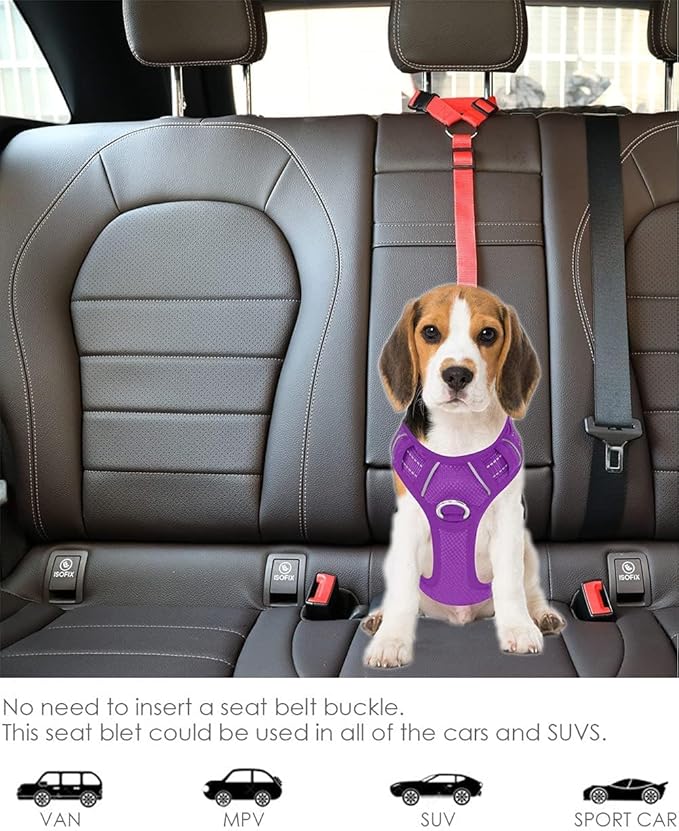 Dog Cat Safety Seat Belt Strap Car Headrest Restraint Adjustable Nylon Fabric Dog Restraints Vehicle Seatbelts Harness (Black)