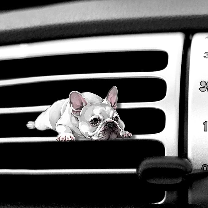 WIRESTER Fresh Scented Car Air Freshener Vent Clip, Decorative Accessories, Interior Decoration for Cars