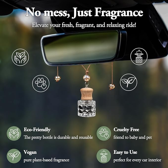 Hanging Car Air Fresheners, 2 Pack Long Lasting Automotive air fresheners up to 30-45 Days, Non Toxic Natural Fragrance Car Diffuser Freshener for Cars, Home,Office- Cool Ice