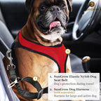SunGrow Elastic Nylon Dog Seat Belt, 24” - 36”, Adjustable Black Harness, Elastic Tether with Metal Buckles, 2 Pcs per Pack