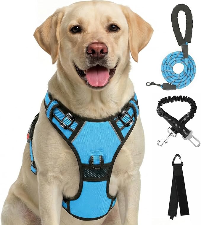 FURRYFECTION Plaid Dog Harness for Small Dogs, Reflective No Pull Adjustable Pet Vest with Front Clip, Leash, Easy Control Handle and Seat Belt, Blue, S