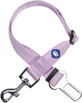 Blueberry Pet Dog Leash Essentials: Lavender Seat Belt Tether - Puppy Essentials & Heavy Duty Dog Leashes for Large Dogs - Safety for Pet Parents, Dog Lovers & Road Trip Enthusiasts