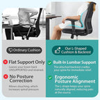 Seat Cushion for Office Chair and Car, Lumbar Support Pillow for Office Chair, Memory Foam Ergonomic Seat Cushion for Long Sitting, Back & Tailbone Pain, Sciatica - Blue & Gray