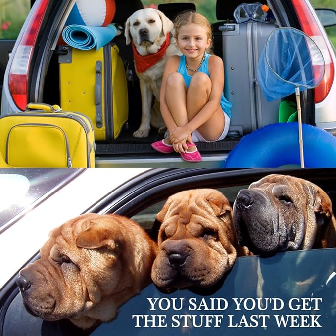 YuCool Dog Seat Belt,4 Piece Set Dog Car Adjustable Seatbelts for Vehicle Nylon Pet Safety Heavy Duty & Elastic Car Harness for Dogs