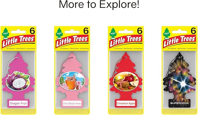 LITTLE TREES Car Air Freshener. Hanging Tree Provides Long Lasting Scent for Auto or Home. Blackberry Clove, 24 Air Fresheners (Pack of 6)