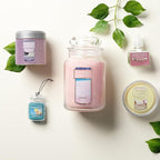 Yankee Candle Car Air Fresheners, Hanging Car Jar Ultimate, Neutralizes Odors Up To 30 Days, Bahama Breeze, 0.96 OZ (Pack of 12)