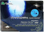 Treefrog Fresh Box Mini (Xtreme Fresh) Black Squash and Fresh Squash Scent JDM Air Freshener