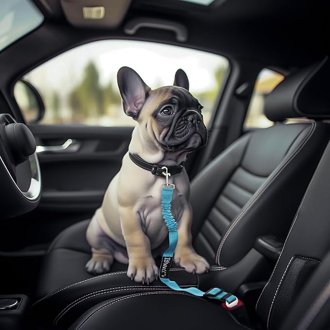 IBWell Dog Seat Belt with Elastic Bungee Leash, Car Seat Belt for Dogs (Purple, 2PCS-27.6")