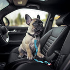 IBWell Dog Seat Belt for Car with Elastic Bungee Leash, Car Leash Car Seat Belt for Dogs (Pink, 2PCS-27.6")