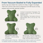 Lumbar Support Pillow(Pat. Pend) for Lower Back Pain Relief – Multi-Functional Ergonomic Lumbar Cushion, Reading Pillow for Office Chair, Car Seat & Sofa,Olive Green