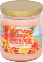 Smoke Odor Exterminator 13oz Jar Candle, Maui Wowie Mango