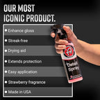 Adam's Detail Spray (16 fl. oz) - Quick Waterless Car Detailer | Polisher Clay Bar & Car Wax Booster | Adds Shine & Gloss Depth
