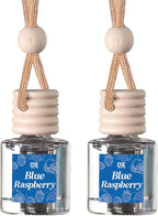 CANDECraftCo Car Air Hanging Fragrance Oil, Car Auto Freshener for Essential Oils, Scents Fragrance Aromatherapy Automobile Diffuser, Long Lasting (Blue Raspberry)