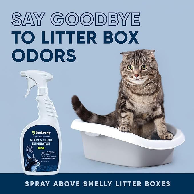 Eco Strong Cat Stain And Odor Remover | Enzyme Urine Odor Neutralizer - Stain Remover for Carpet, Litter Boxes, Bedding, and Laundry [Citrus Scent, 32 oz. Spray]