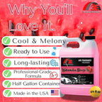 3E Car Air Freshener Concentrate – 64 oz – Professional Automotive Fragrance – Multiple Scents (Watermelon)