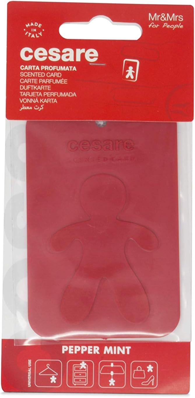 Cesare Scented Cards Car Air Freshener Long Lasting Uses Alcohol Free Fragrance Oil Non-Toxic EVA Material Pack of 6 Different Fragrances