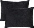 2 Pack Small Pillow, 16 X 12 Inches, Memory Foam Mini Pillow for Travel, Camping, Sleeping, Nap and Neck, Knee, Lumbar Support, Tiny Cushion for Pet, Dogs (Black)