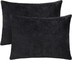 2 Pack Small Pillow, 16 X 12 Inches, Memory Foam Mini Pillow for Travel, Camping, Sleeping, Nap and Neck, Knee, Lumbar Support, Tiny Cushion for Pet, Dogs (Black)
