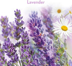 Air Wick Stick Ups Air Freshener, Lavender & Chamomile | 2-Count | Pack of 2