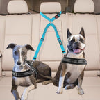 Lukovee Double Dog Seat Belt, New Dual Pet Car Headrest Restraint Safety Seatbelt No Tangle Dog Leash Duty Adjust Elastic Bungee Puppy Lead Splitter Connect Harness in Vehicle Travel for 2 Dogs (TBL)