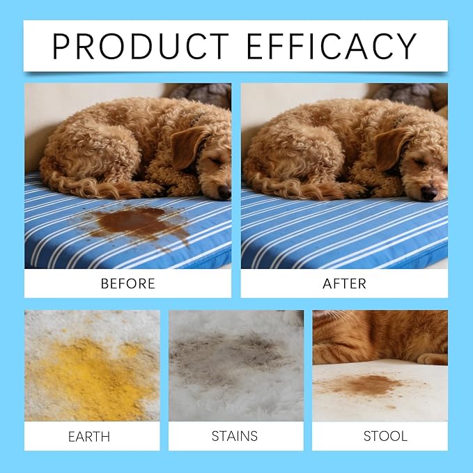 Pet Stain & Strong Odor Eliminator, Dog & Cat Pee Urine Destroyer for Carpet, Upholstery - Cleaner Spray for Pet Stain Remover, Urine, Poop, Pee, Deodorizer, Air Freshener in Home & Car - 5oz