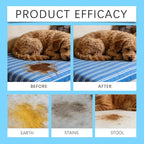 Pet Stain & Strong Odor Eliminator, Dog & Cat Pee Urine Destroyer for Carpet, Upholstery - Cleaner Spray for Pet Stain Remover, Urine, Poop, Pee, Deodorizer, Air Freshener in Home & Car - 5oz