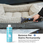 Carpet Cleaner Machine 11Kpa Strong Suction, New 450W Powerful Motor, Portable Upholstery Cleaner with Spot Cleaner, Stain Remover for Pet Accident, Rugs, Carpet and Upholstery Black (AU-C003)