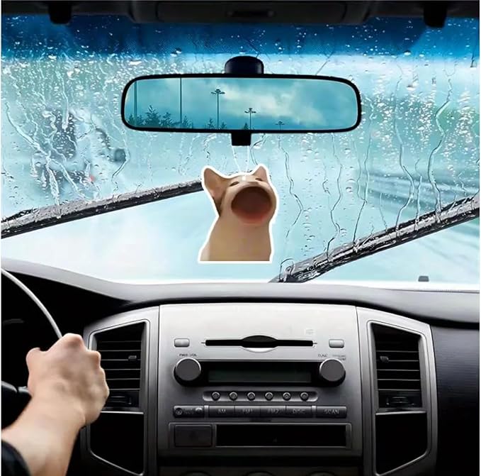 Rawan 4 Pack Cat Air Freshener - Funny Cat Decor for Women, Men & Kids - Hanging Fresheners for Car & Home